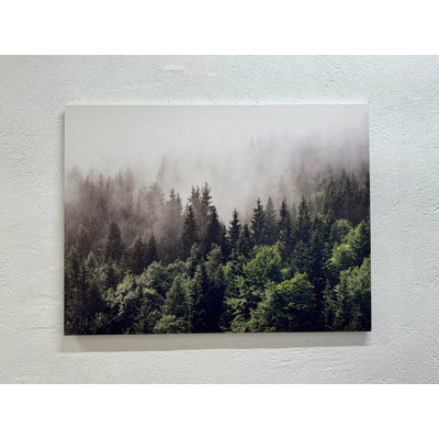 «Misty Forest», art mural imprimé sur toile, paysage noir 1P