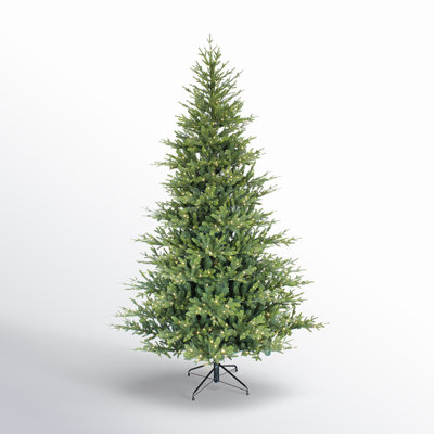 90' Lighted Spruce Christmas Tree