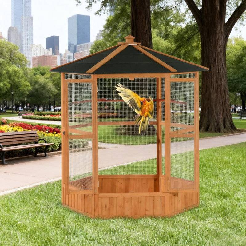 Cage à oiseaux de 69 po pour l'extérieur avec design hexagonal