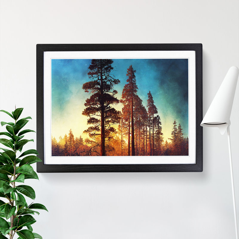 Cosmopolitan Pine Tree Forest - Framed Print, 25cm H x 34cm W x 2cm D, Black Framed
