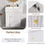 Ensemble de meuble-lavabo simple 21,6 po avec plateau Adylynn