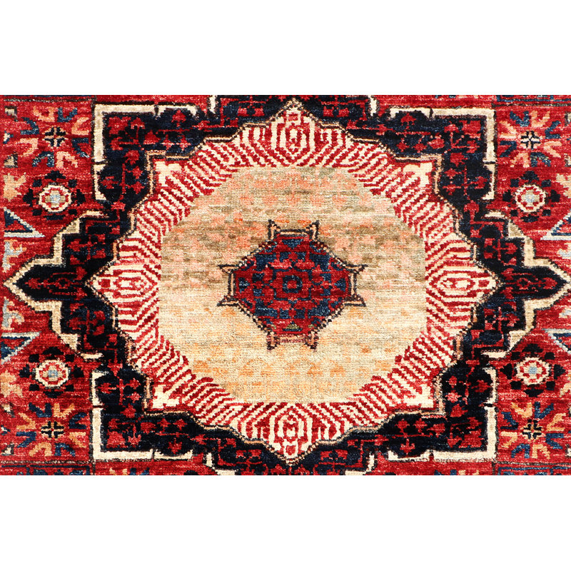 Aryana Wool Oriental Area Rug, Runner 2' x 5'1