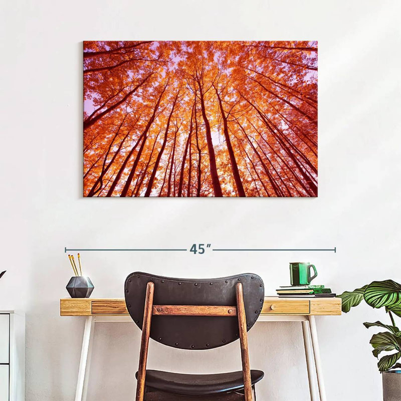 Alvord Bright Autumn Forest