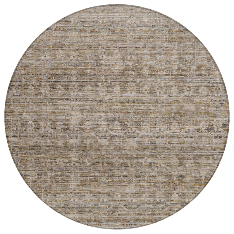 Machine Washable Indoor/Outdoor Xhevrie Brown Rug, Round 8'