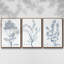 Ensemble de 3 pièces botaniques antiques encadrées sur toile IV-97759901-97759899
