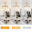 43“ Gold Heart-Shaped Crystal Invisible Fan Light (Remote Control and Led 3-Colour Dimming)