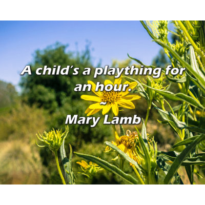Mary Lamb Quote: A child’s a plaything for an hour.