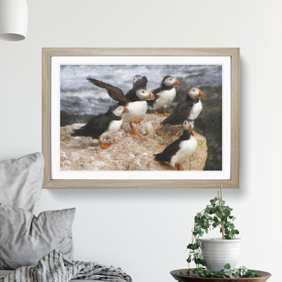 Atlantic Puffin Birds Vol.3 - Framed Print