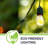 1 Watt (11 Watt Equivalent) , S14 LED Dimmable Light Bulb E26/Medium (Standard) Base