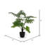 Grand buisson de Philodendron artificiel en pot-27778188