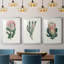 Protea N13 - Ensemble de 3 impressions encadrées-2127202176-2127202177
