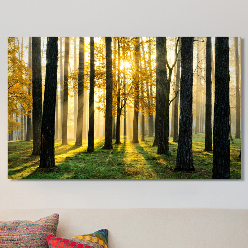 « many paths », reproduction de photo sur toile tendue, H 24 po x l 40 po x P 1 po