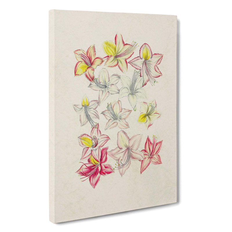 Pink Azalea Flower Illustration - Wrapped Canvas, 50cm H x 35cm W x 3cm D