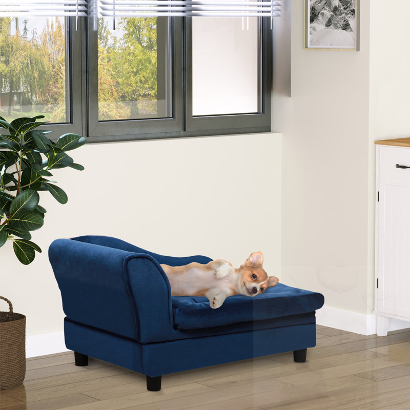 Canapé pour petit chien avec rangement caché, Blue
