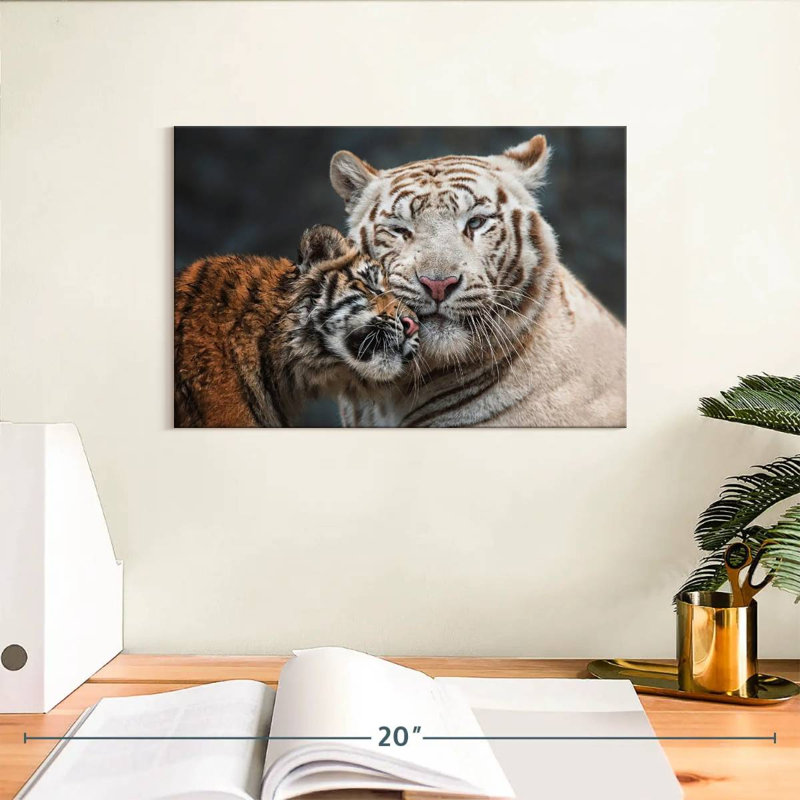 Tigre blanc et chaton Brampt, H 8 po x l 12 po
