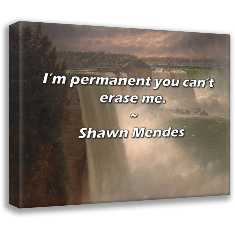 Citation artistique «Je suis permanent, vous ne pouvez pas m'effacer». Toile tendue par Shawn Mendes Gallery