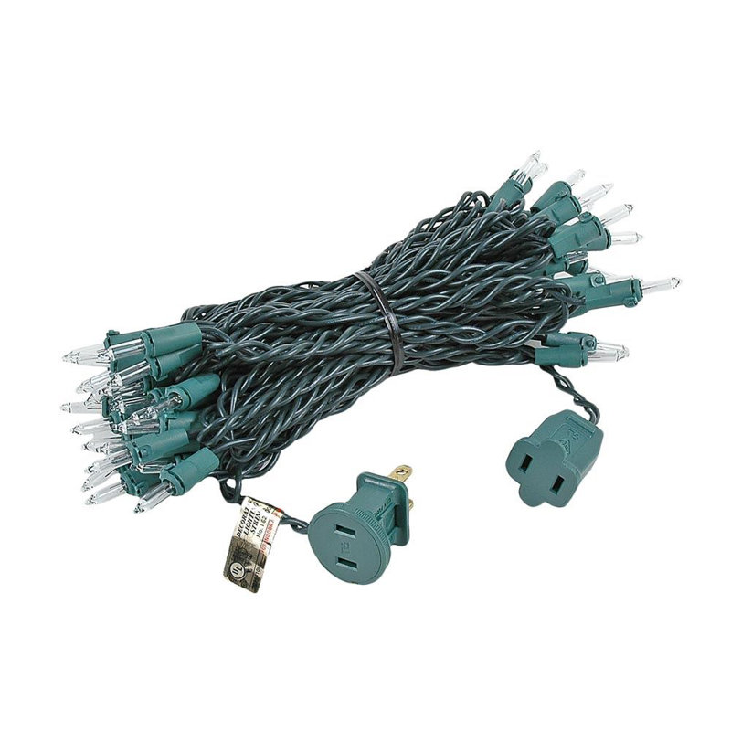 Pitzer Outdoor 50 - Bulb 25'' Plug-in Mini String Light, Clear