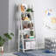 LPD Home 175.5cm H x 64cm W Ladder Bookcase-17613457-123754582