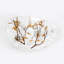 Crystal Branched Adorned Coffee Table