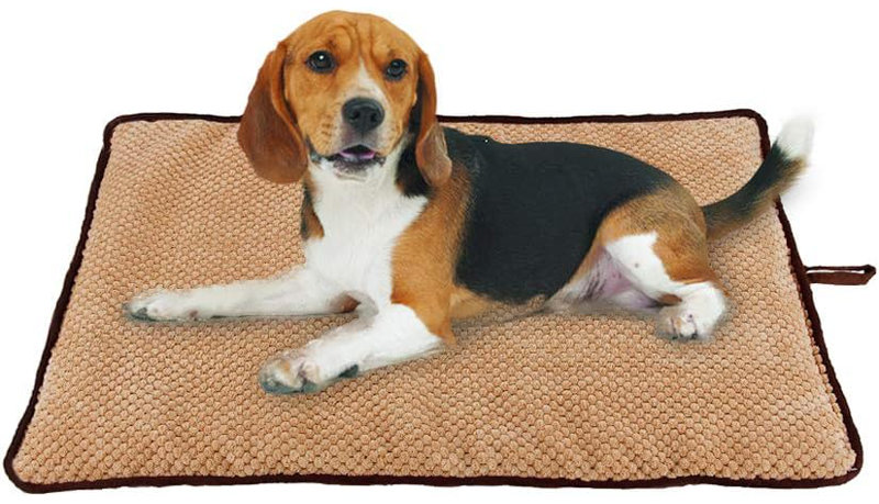 Riata Orthopedic Fleece Pet Bed, Medium