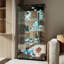 Display Cabinet-663882473
