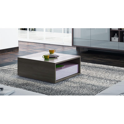 Interni Frame Coffee Table with Storage