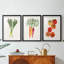 Organic Veg II - impression encadrée de qualité supérieure sur mesure mat - 3 pièces-504725488-504725490