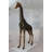 Pair of Giraffes Bronze Statues -  Size: 32"L x 12"W x 55"H. 