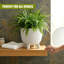 Pot Planter-1997531616-1997531550