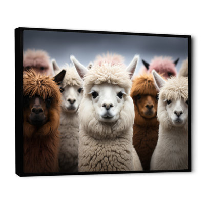 Alpacas Graceful Fibers - Imprimé