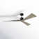 Adler Ceiling Fan