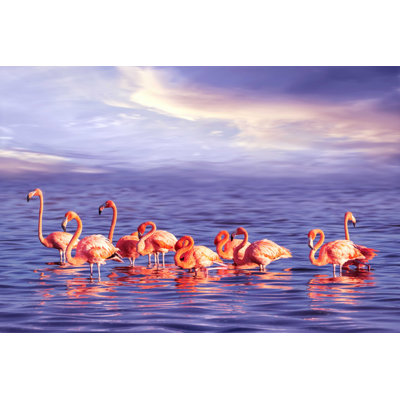 Une volée de flamants roses par Delbars - Photographie sur toile tendue
