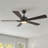 56" 5 - Blade LED Smart Standard Ceiling Fan with Light