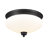 Reichert Glass Flush Mount-40963418-40963416
