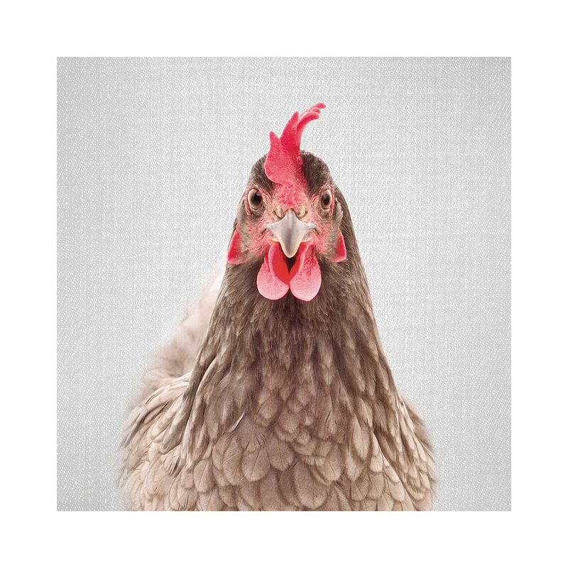 Chicken - Wrapped Canvas Painting, 45.72 cm H x 45.72 cm W