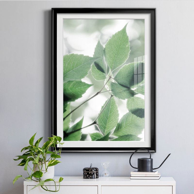 «Fields of Green I» par Irene Weisz - reproduction de photo sur papier encadrée, Cadre noir, H 30,5 po x l 42,5 po x P 1,5 po