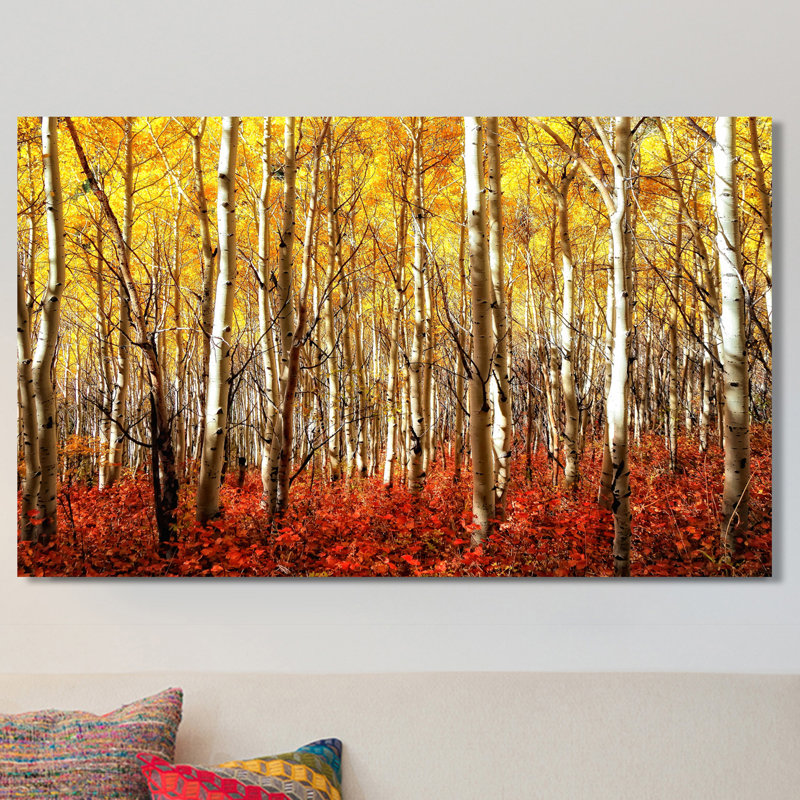 Bouleaux - reproduction de photo sur toile tendue, H 18 po x l 30 po x P 1 po