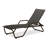 Outdoor Rust-Resistant Metal Chaise Lounge-19510282-48935077