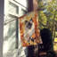 Chat en feuilles d'automne-112700520