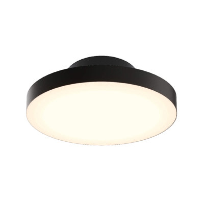 Pepin 12 Inch 2-in-1 Flush Mount and Pendant