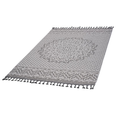 Indoor / Outdoor Rug