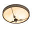 Hoja 2 - Light Semi Flush Mount