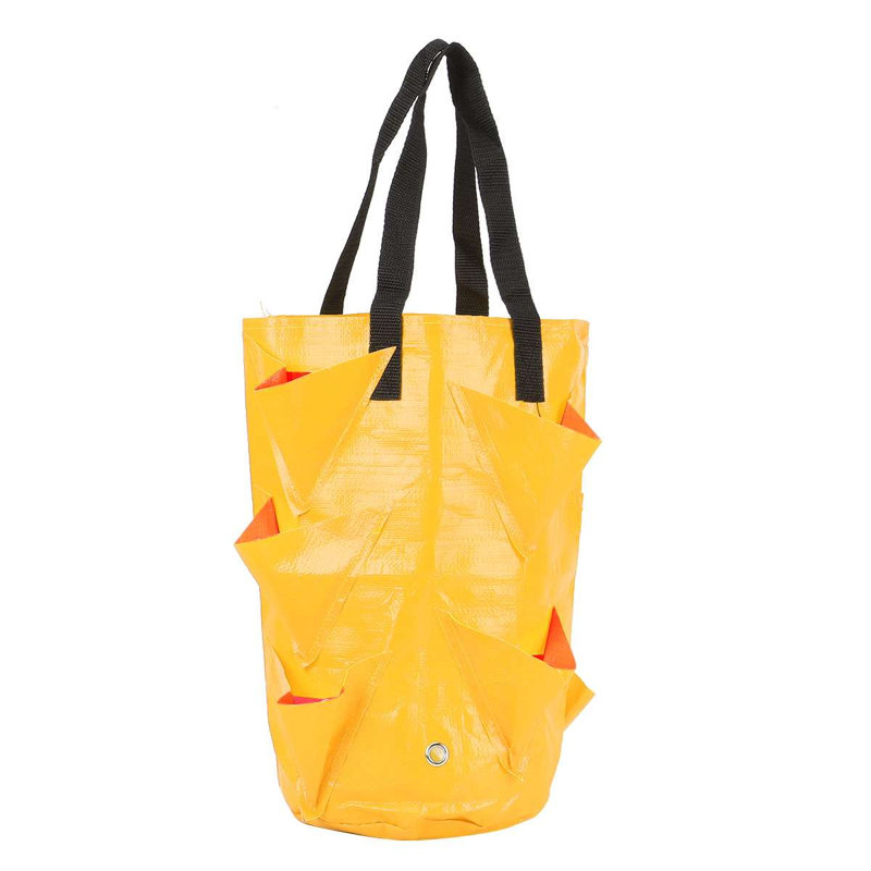Pot de fleurs suspendu Rochel