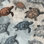 Turtle Comforter