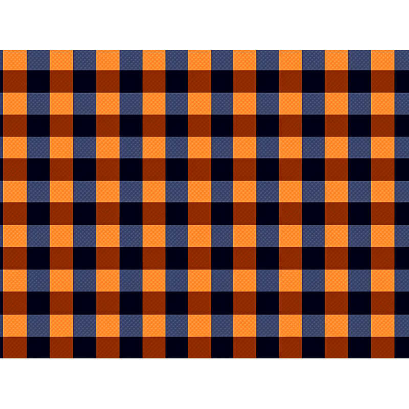 Rideau de douche Ottillia Gingham, H 84 po x l 70 po