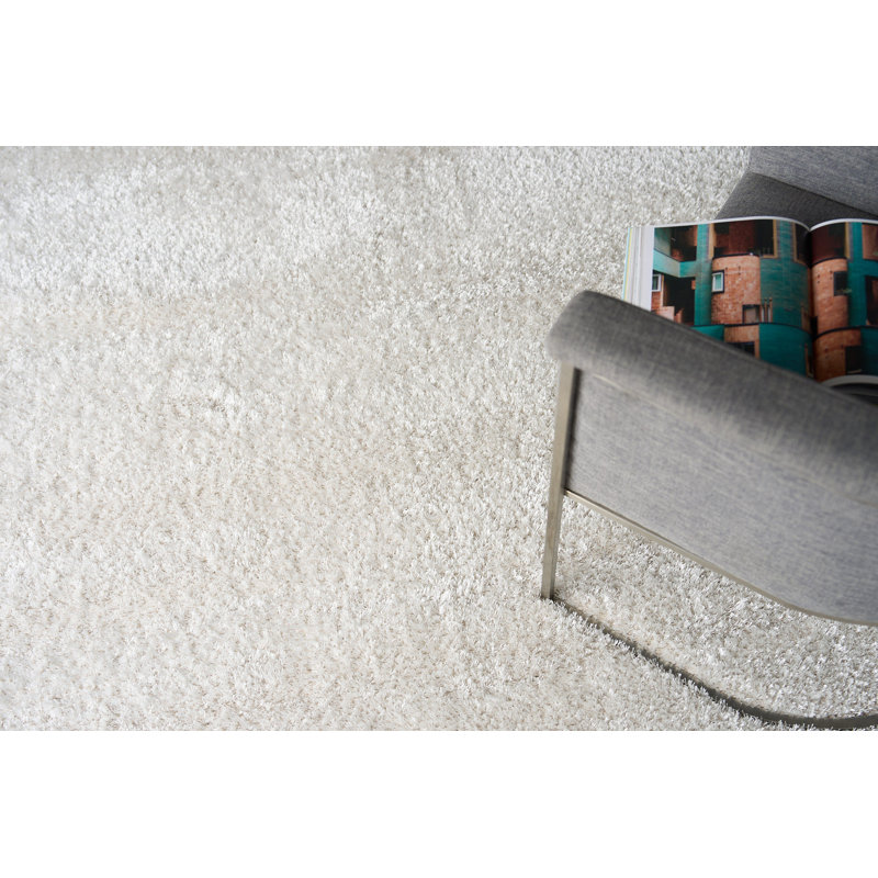 Luxe Shag Area Rug in Taupe, Rectangle 4' x 6', Light Beige