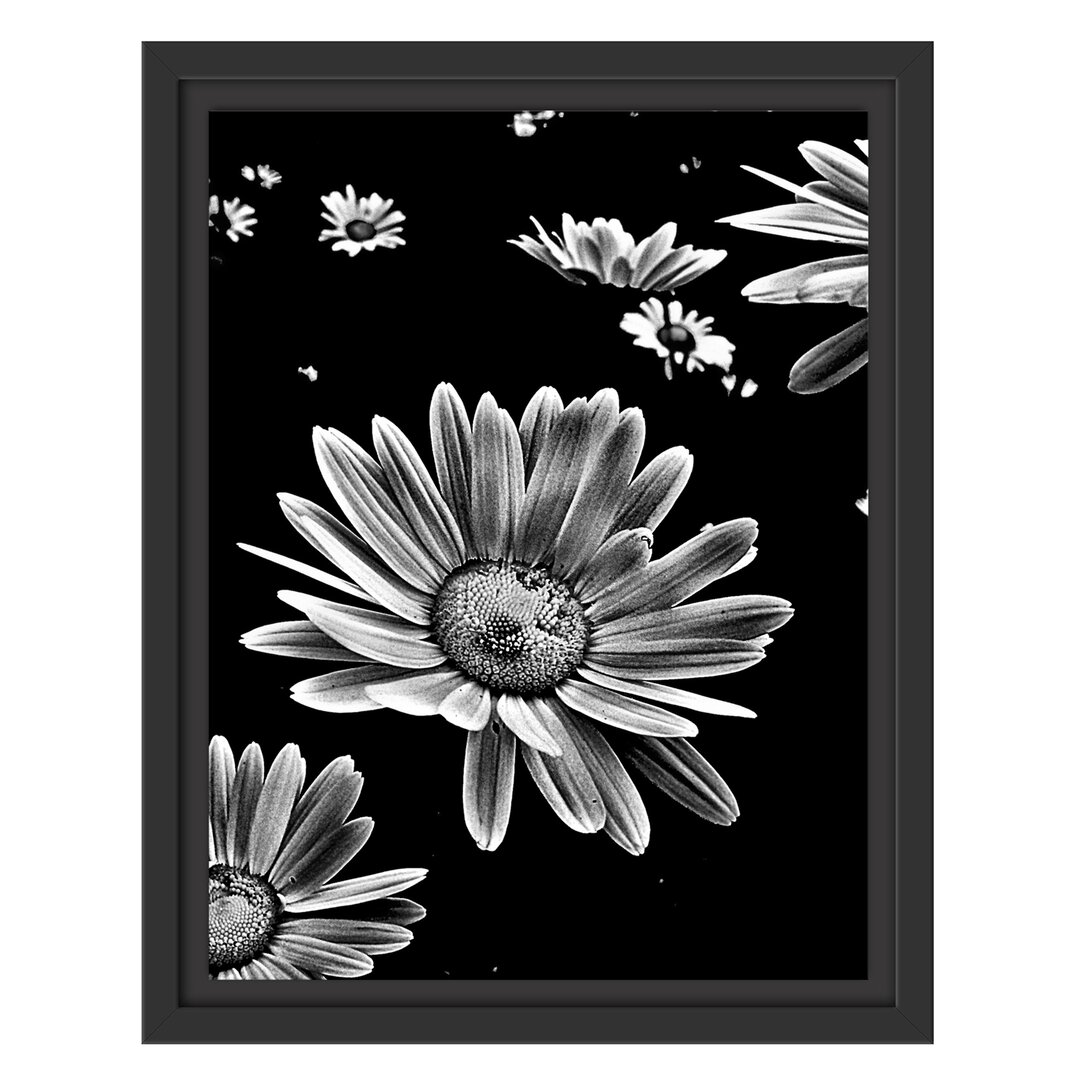 Gerahmtes Wandbild Dark Margeriten Blüten