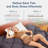 Soft Cloud Mattress Topper-1881265371-1904683539