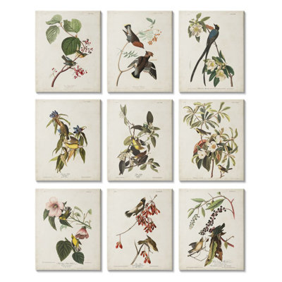 Reproduction d’art graphique sur toile, "various Warbler Birds perché on branches" par James Audubon-9 pièces