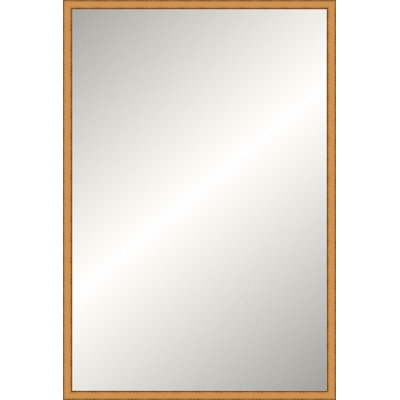 Distressed Gold Legacy Mirror